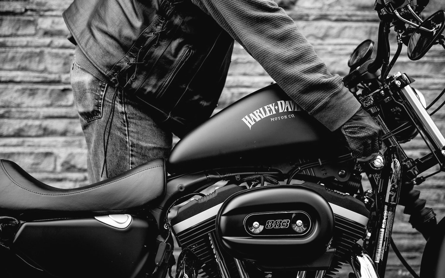 Rider beside a Harley-Davidson tank
